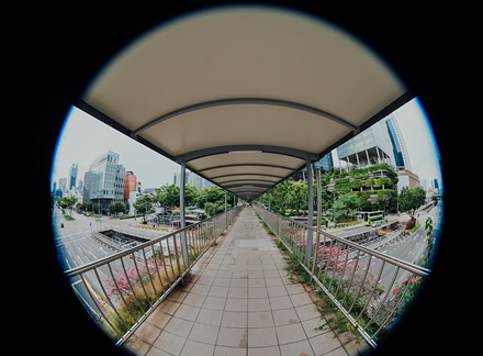 Virtual Tour